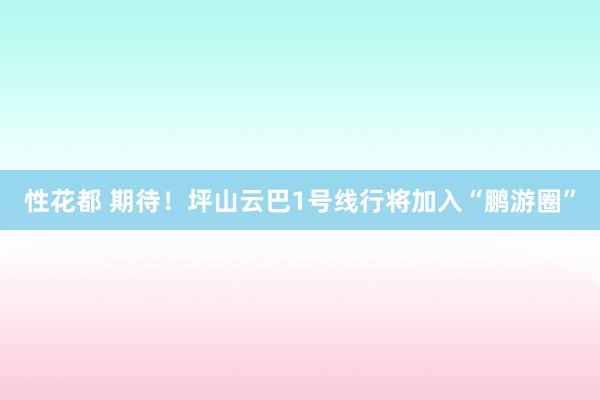 性花都 期待！坪山云巴1号线行将加入“鹏游圈”