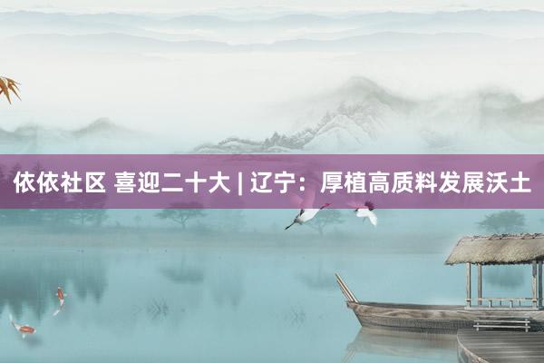 依依社区 喜迎二十大 | 辽宁：厚植高质料发展沃土