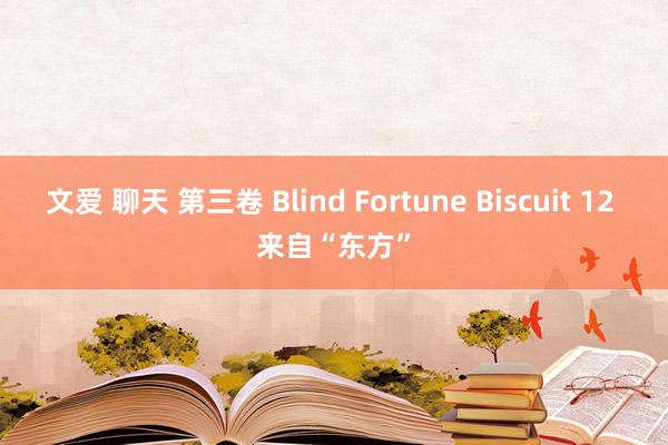 文爱 聊天 第三卷 Blind Fortune Biscuit 12 来自“东方”