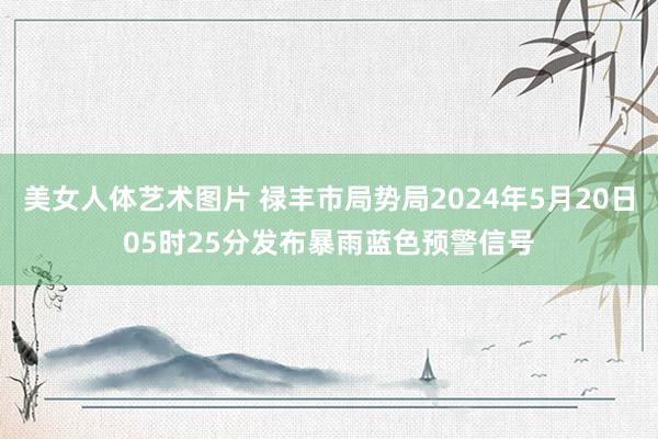 美女人体艺术图片 禄丰市局势局2024年5月20日05时25分发布暴雨蓝色预警信号