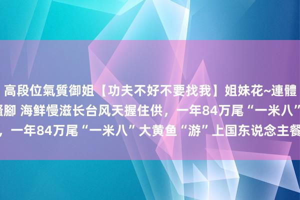 高段位氣質御姐【功夫不好不要找我】姐妹花~連體絲襪~大奶晃動~絲襪騷腳 海鲜慢滋长台风天握住供，一年84万尾“一米八”大黄鱼“游”上国东说念主餐桌