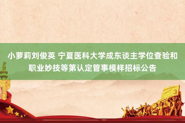 小萝莉刘俊英 宁夏医科大学成东谈主学位查验和职业妙技等第认定管事模样招标公告