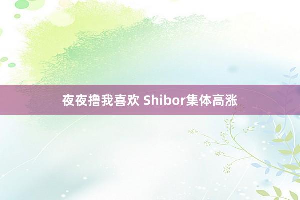 夜夜撸我喜欢 Shibor集体高涨