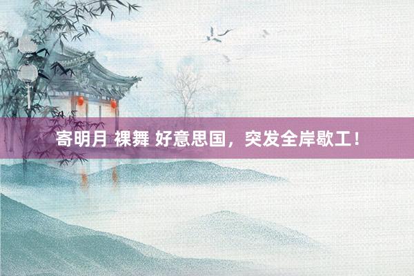寄明月 裸舞 好意思国，突发全岸歇工！