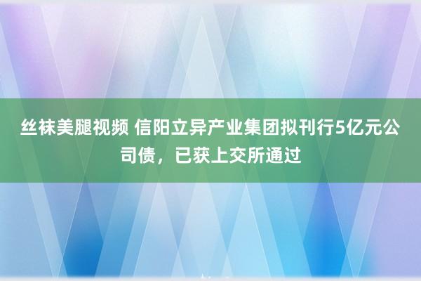 丝袜美腿视频 信阳立异产业集团拟刊行5亿元公司债，已获上交所通过
