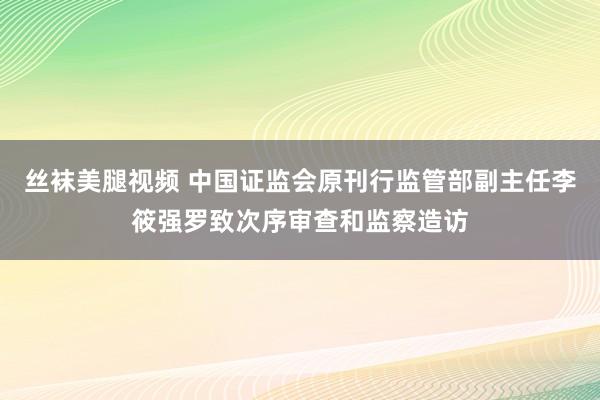 丝袜美腿视频 中国证监会原刊行监管部副主任李筱强罗致次序审查和监察造访