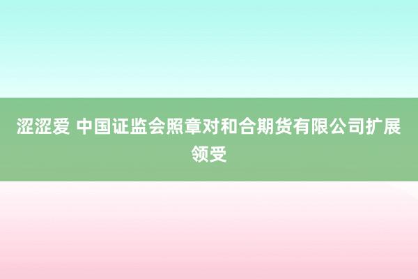 涩涩爱 中国证监会照章对和合期货有限公司扩展领受