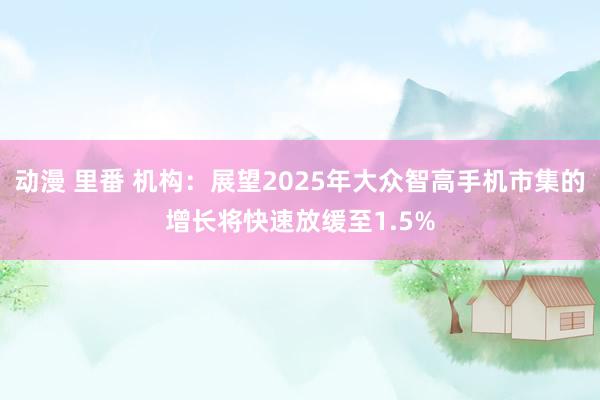 动漫 里番 机构：展望2025年大众智高手机市集的增长将快速放缓至1.5%